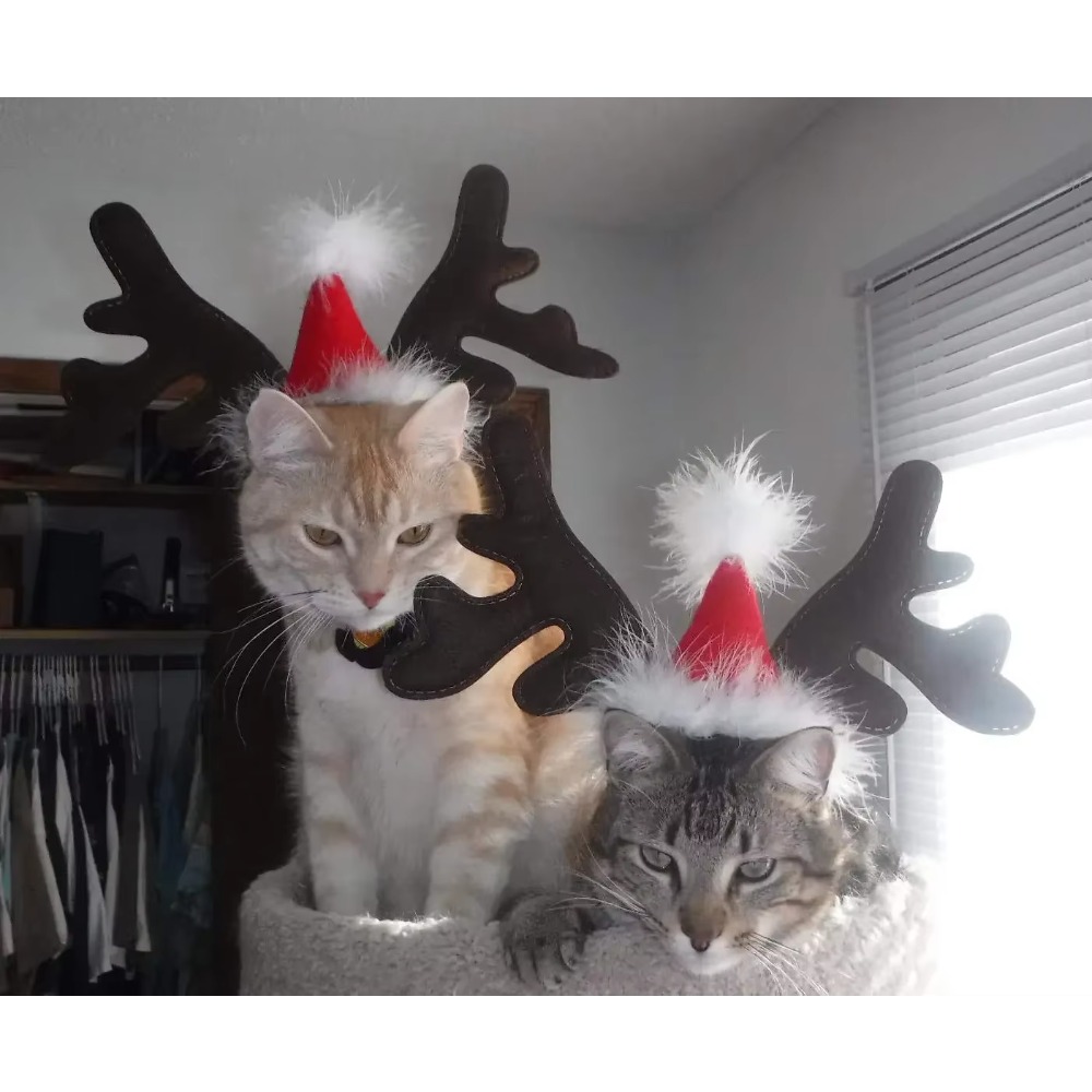 Pet Christmas Reindeer Antler  - Reindeer Antlers Headband ulasan dan harga